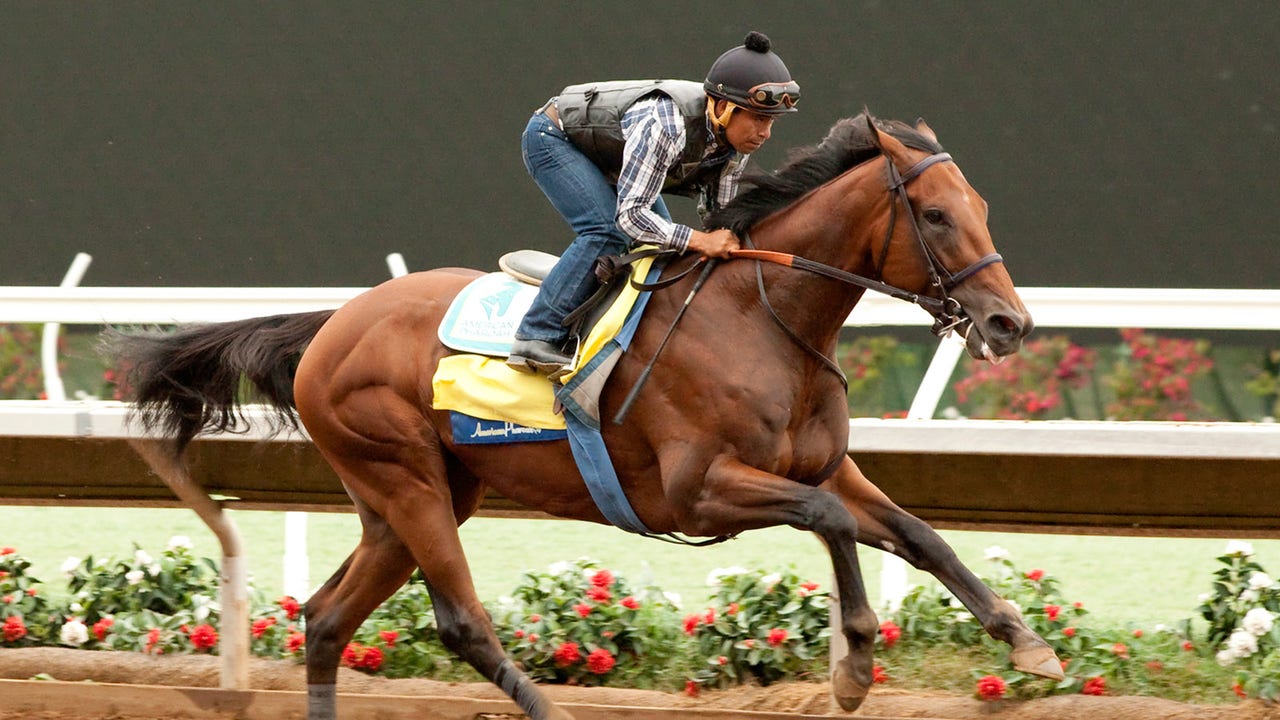 Bob Baffert believes American Pharoah is 'getting stronger'